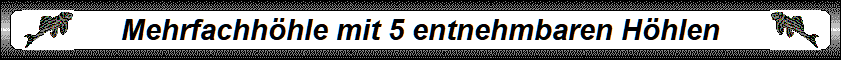 Mehrfachhhle mit 5 entnehmbaren Hhlen