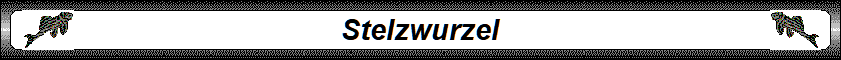 Stelzwurzel